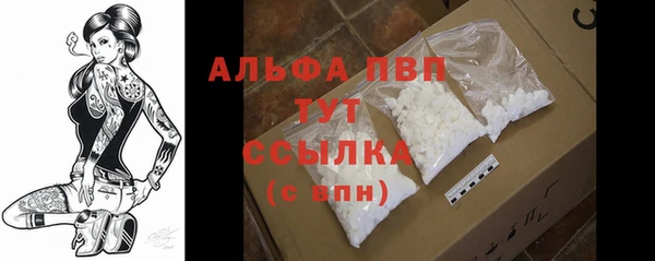 ПСИЛОЦИБИНОВЫЕ ГРИБЫ Вуктыл