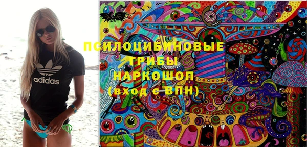 стаф Нязепетровск