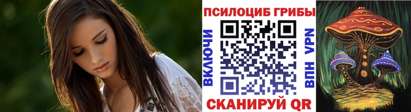 хочу наркоту  Поворино  Галлюциногенные грибы MAGIC MUSHROOMS 
